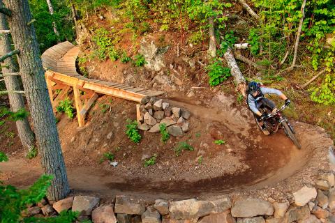 rock solid wood feature 