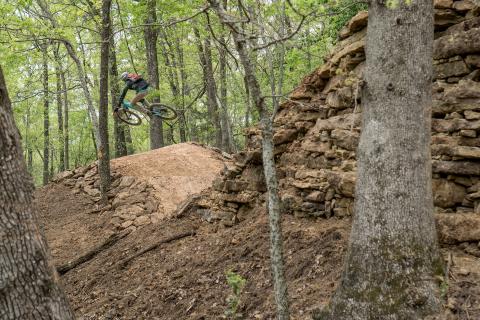 Berm Retaining Wall Against Trees 