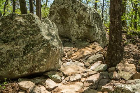 Rocks and More Rocks 