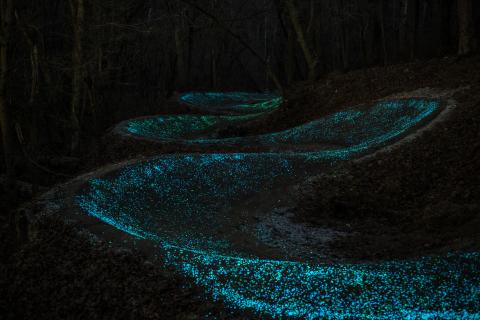 glow berms choo choo 