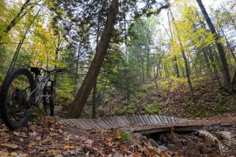 wood berm
