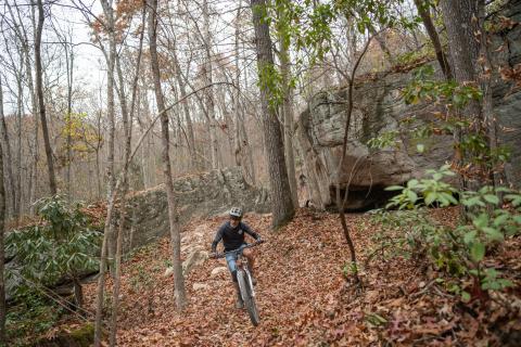 michael weaving in rocks