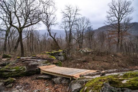 bridge