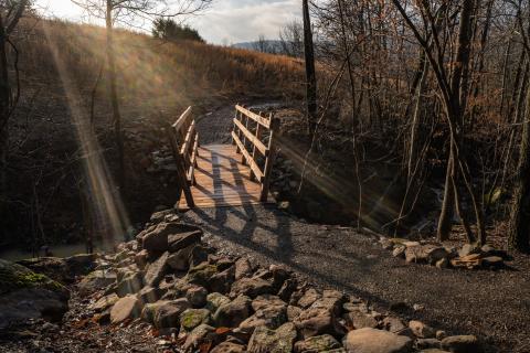 cedar bridge 