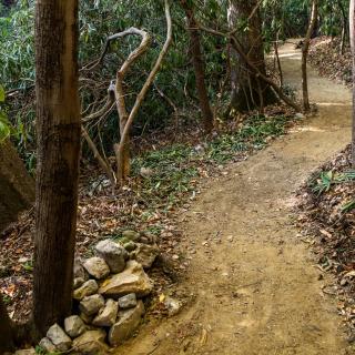 rhodo trail